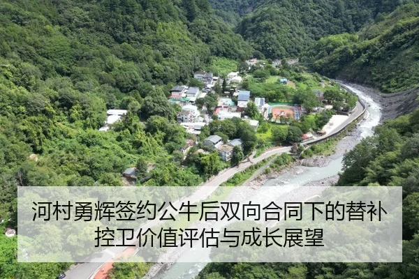 he-cun-yong-hui-qian-yue-gong-niu-hou-shuang-xiang-he-tong-xia-de-ti-bu-kong-wei-jia-zhi-ping-gu-yu-cheng-zhang-zhan-2-360.jpg
