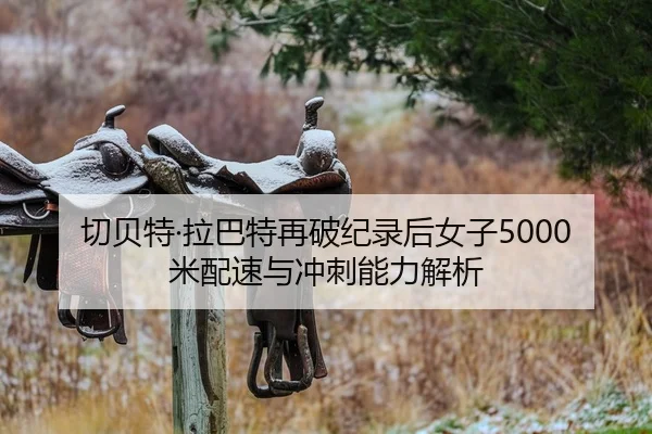 qie-bei-te-la-ba-te-zai-po-ji-lu-hou-nv-zi-mi-pei-su-yu-chong-ci-neng-li-jie-xi-2-288.jpg